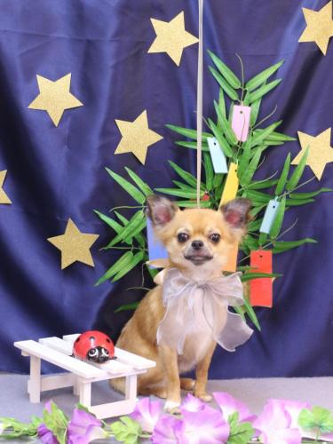 20230722れおくん